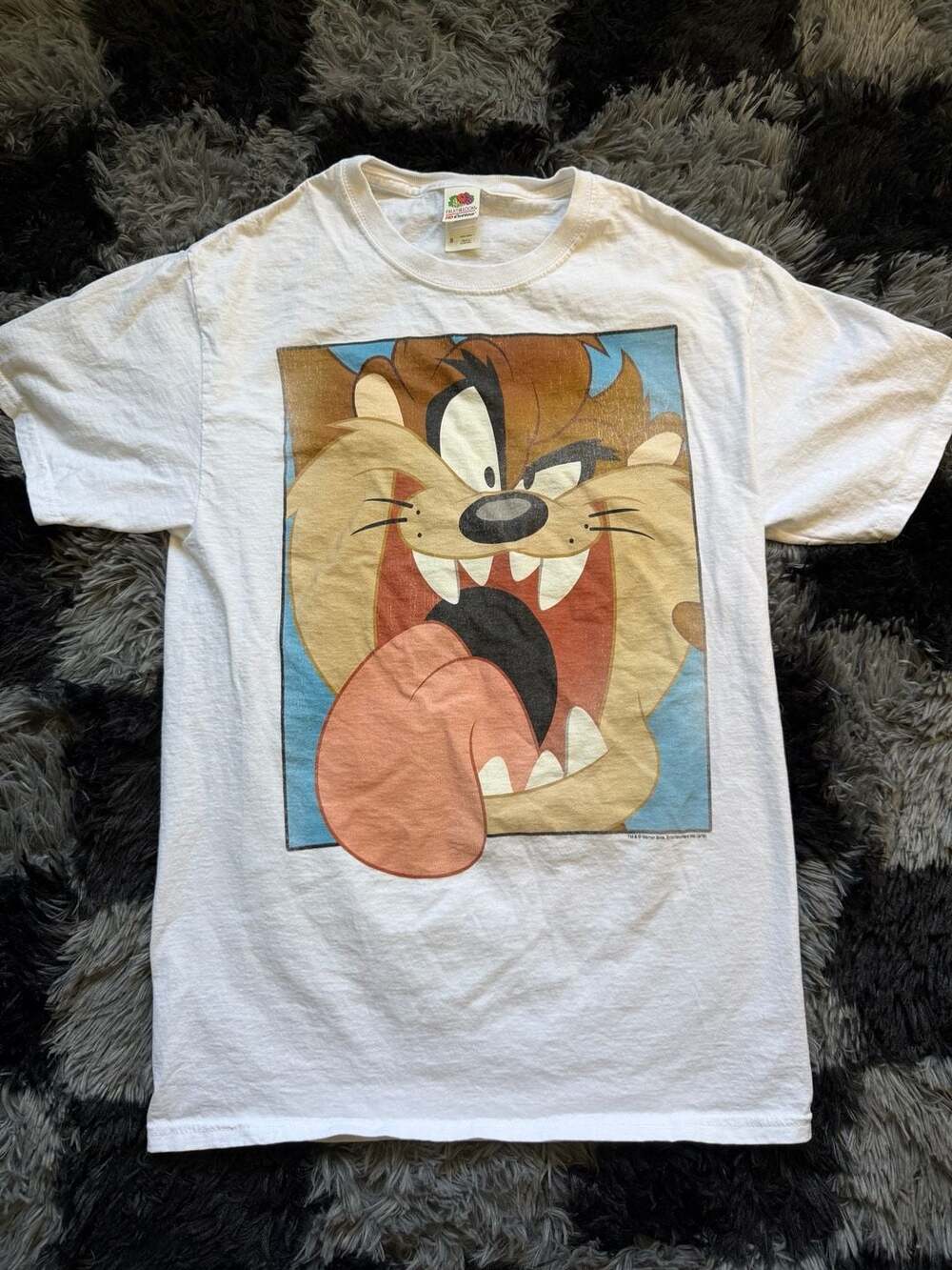 Fruit of the Loom Looney Tunes Taz Tasmanian Devil Graphic T-Shirt